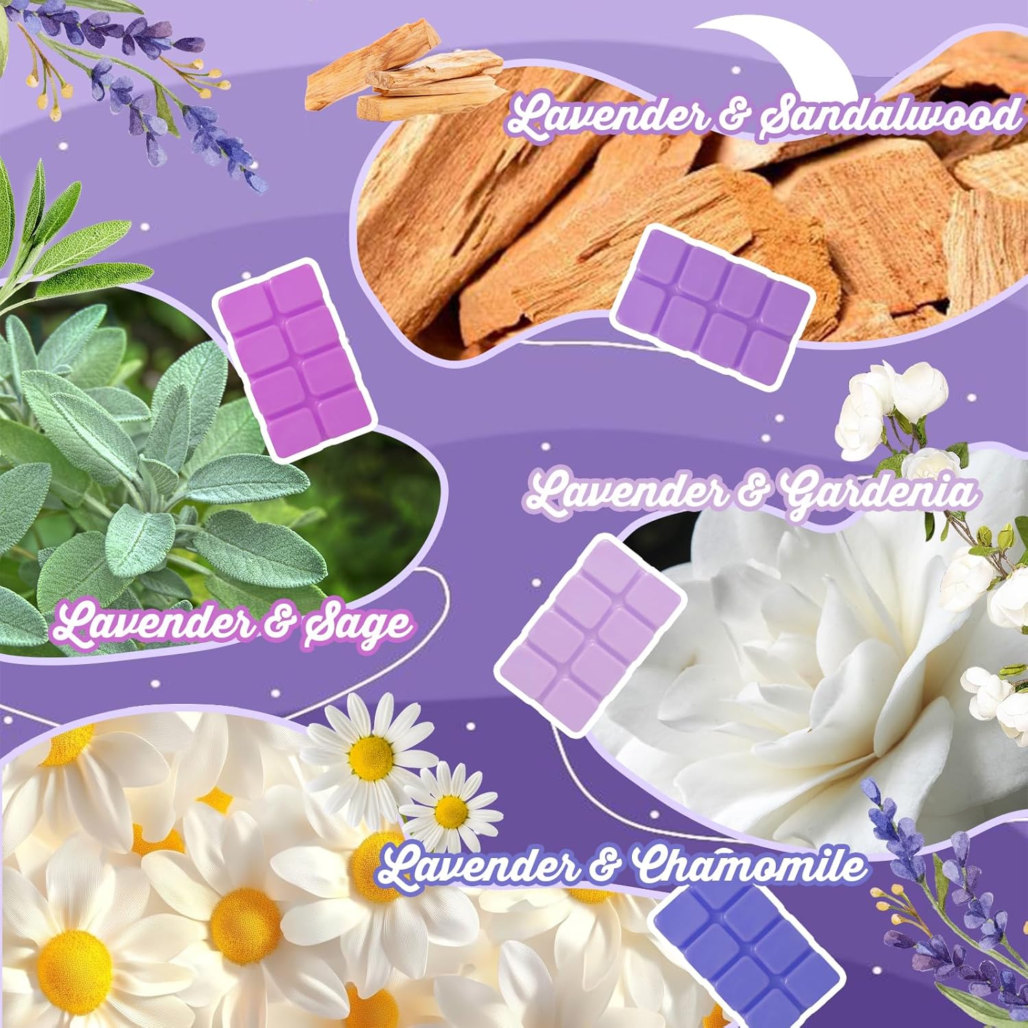 SCENTORINI Wax Melts 4-Pack Lavender Scent for Sleep