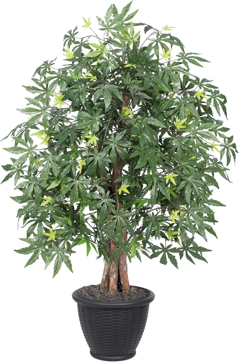 Vickerman 4 Foot Artificial Japanese Maple Bush with Decorative Container
