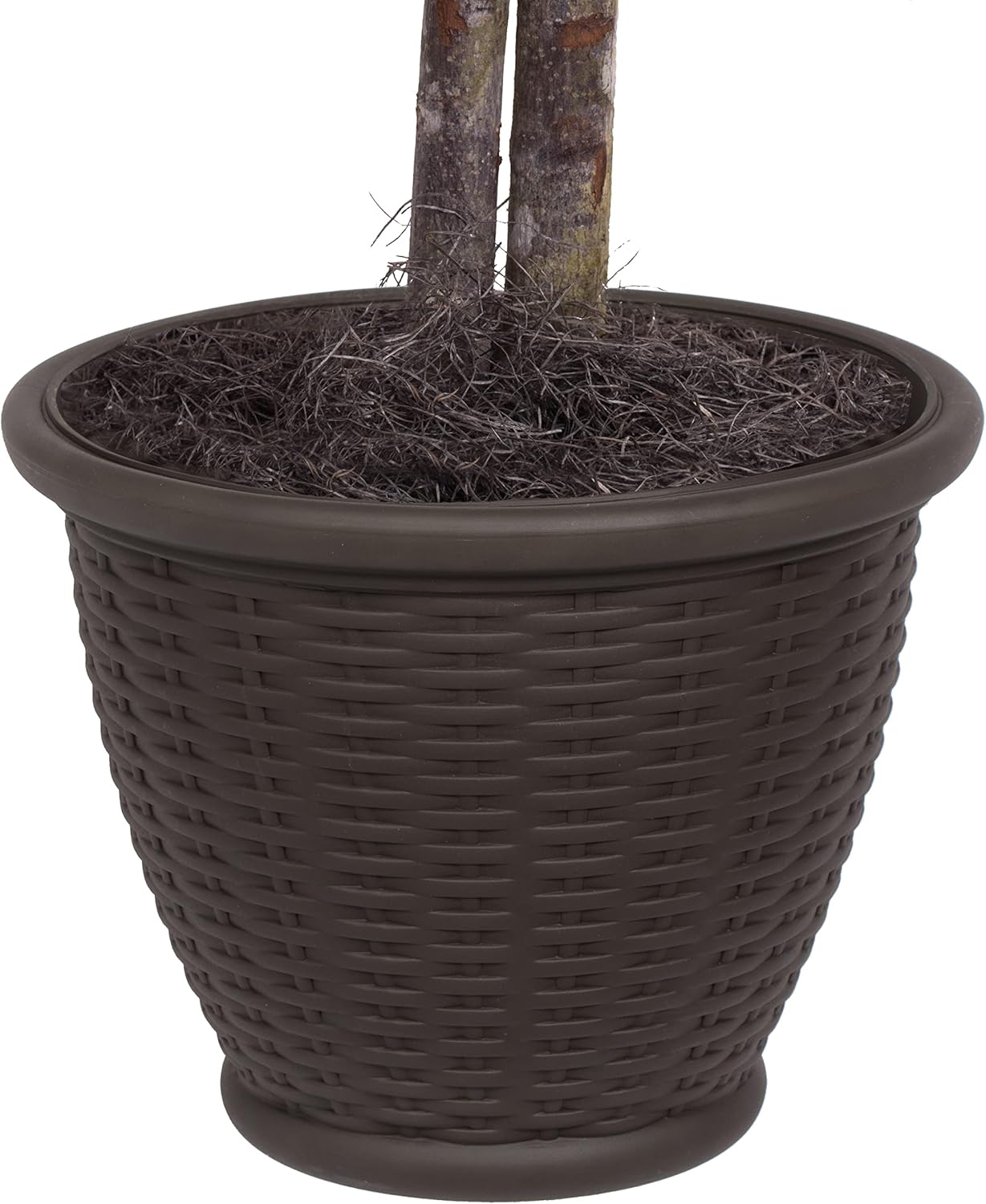 Vickerman 4 Artificial Variegated Ficus Bush with Container