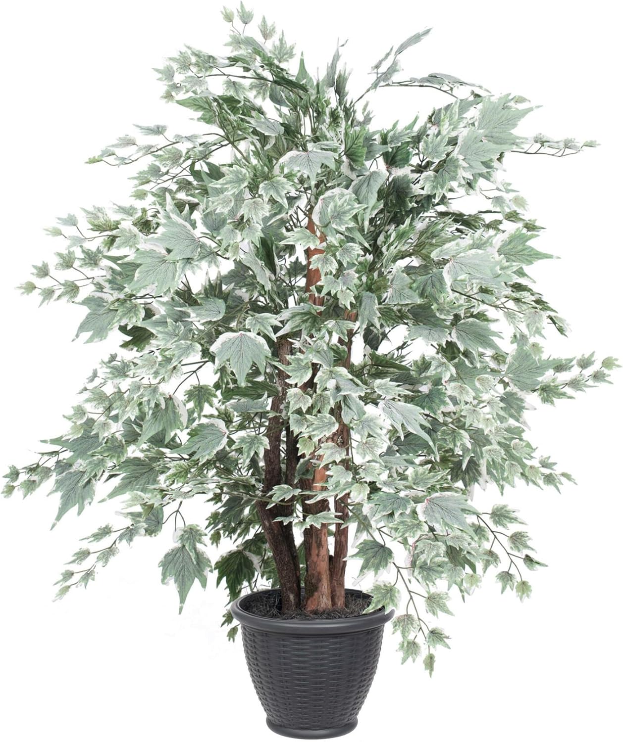 Vickerman 4 Foot Artificial Silver Maple Bush with Decorative Container