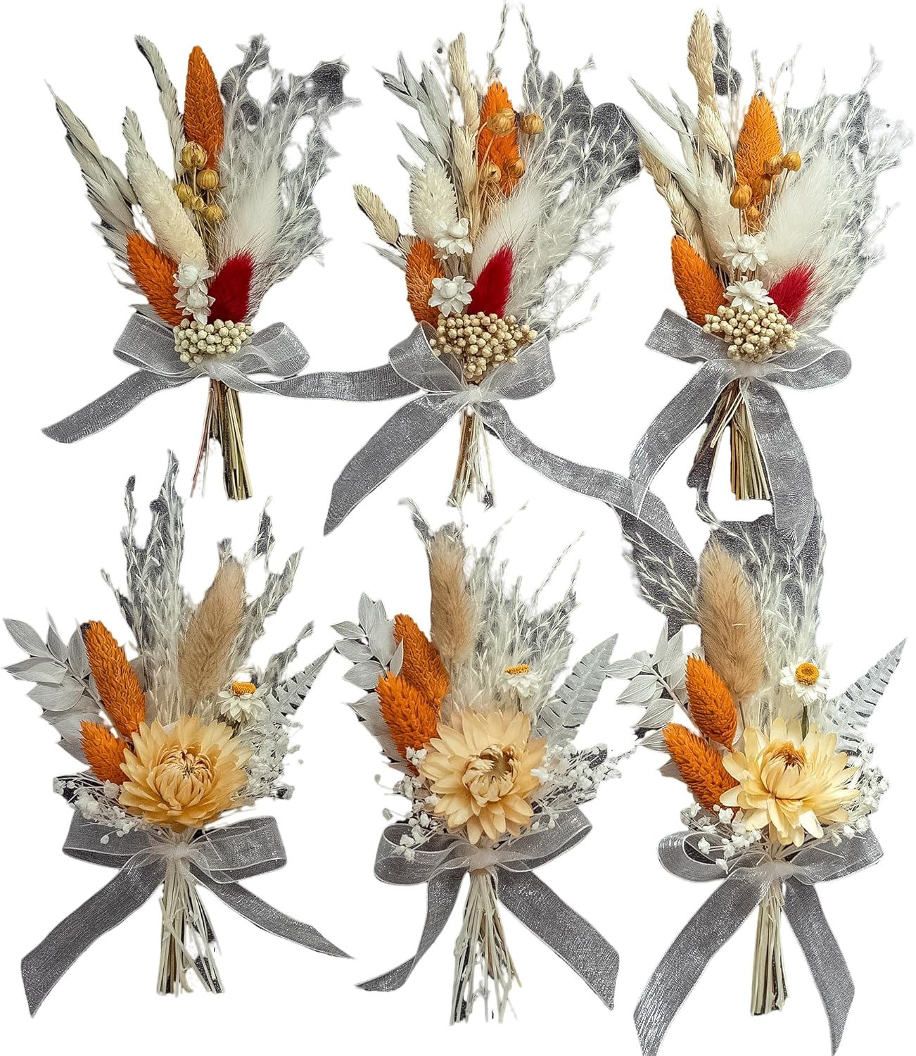 Xins Convey Mini Dried Flower Set Pack of 6 Terracotta