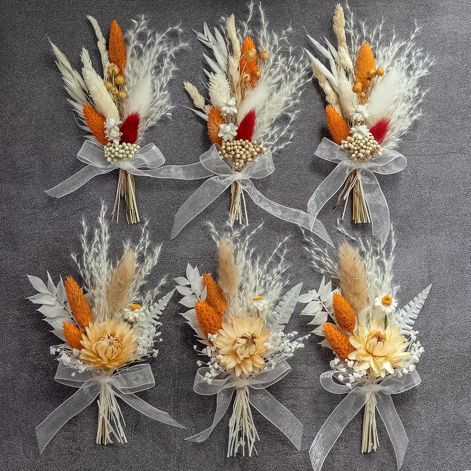 Xins Convey Mini Dried Flower Set Pack of 6 Terracotta