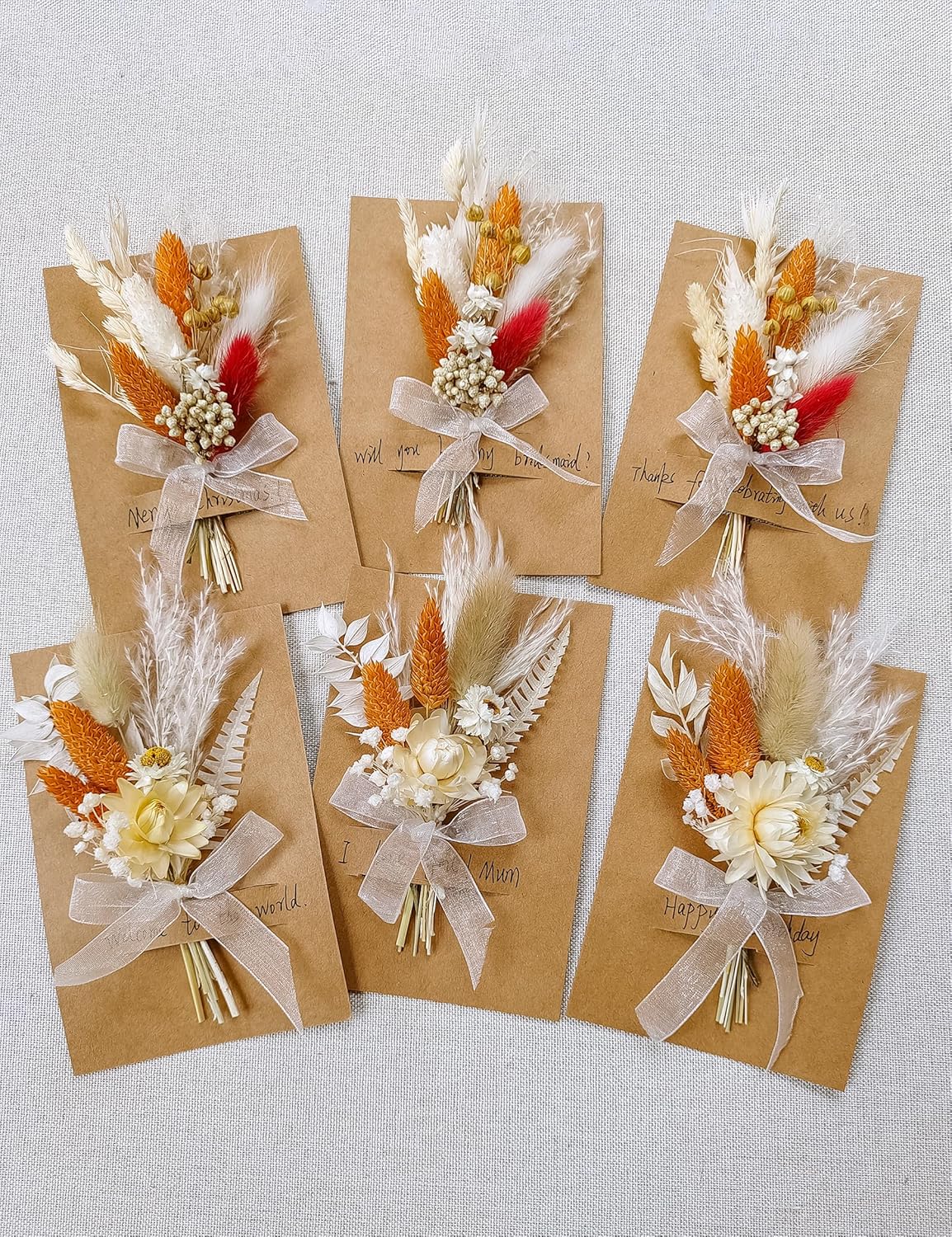 Xins Convey Mini Dried Flower Set Pack of 6 Terracotta